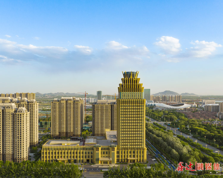 集團(tuán)簡介