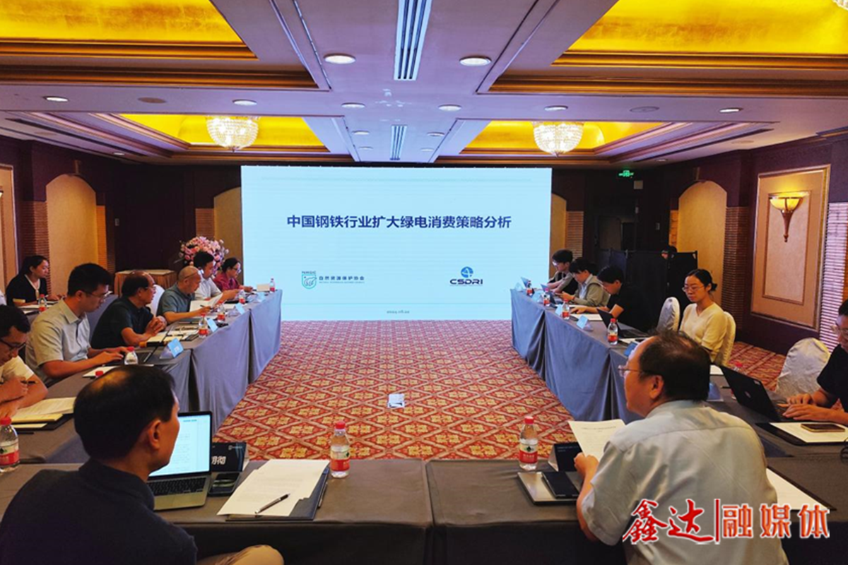 如何更好利用綠電這一減碳利器？——“中國鋼鐵行業(yè)擴(kuò)大綠電消費策略分析”研討會側(cè)記